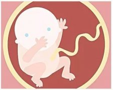 发现胎停育的早期征兆怎么办？