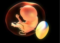 胎儿性别是什么时候形成的，你知道吗?