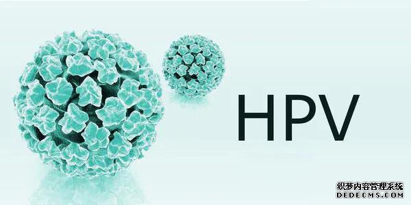 HPV疫苗接种,HPV预防,九价HPV