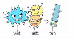 疫苗是怎样预防疾病的？没有抗体还能预防病毒