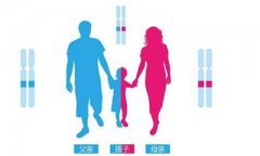 DNA孕中亲子鉴定的原理是什么呢？