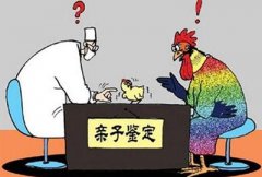 产前亲子鉴定的优点在哪？检测方法是怎样的？