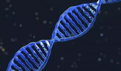 香港无创DNA检测怀孕几周可以做？