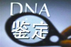 胎儿亲子鉴定几个月可以做?　