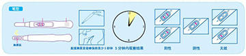 怎么才能知道自己怀孕了？