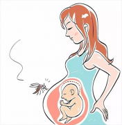 夏季孕妈妈必备的天然防蚊法你知道几个?