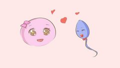 宝宝的性别由什么决定？看看科学解释吧！