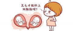 谁说生双胞胎只能靠运气？盘点最全生双胞胎方