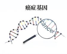 香港癌症筛查:超过80%的癌症基因携带者对自己的