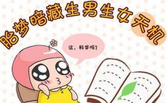 生儿生女胎梦准不准?过来人的经验告诉你！