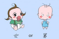 怀孕六周去香港验血查胎儿性别需要准备什么?