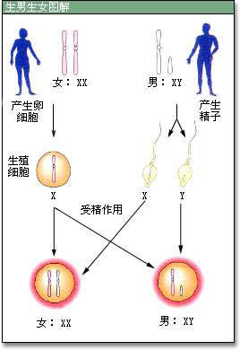 香港抽血准确率高