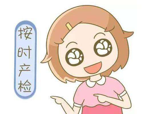 孕期的B超检测