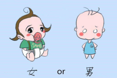 分享香港抽血验男女详细流程，准确率高吗？