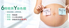 我想去香港验血，费用多少钱？