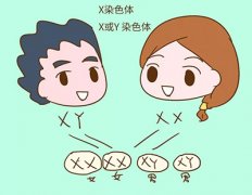 相比较传统检测，香港验血查Y准确率99.8%以上