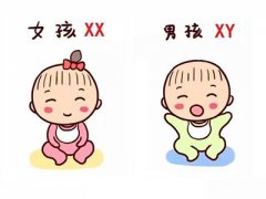 香港验血鉴定男女需要注意的事项有哪些