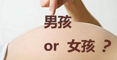 最快怀孕四十二天便可去香港验血查男女