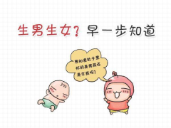 孕妈们想去香港验血检测胎儿性别？分享一下我
