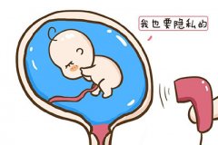 刚怀孕就可以知道生男生女了？
