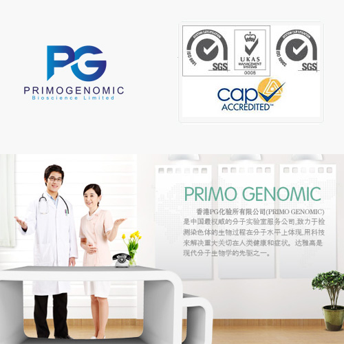 香港PG化验所