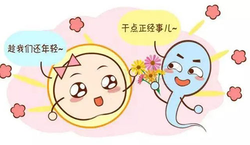 想生男孩备孕怎么做