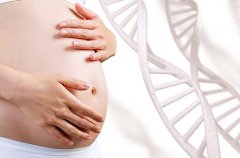 孕妇去香港抽血验男女准吗？