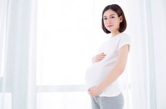 香港dna验血查胎儿性别准不准