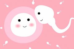 怎样容易受孕:什么时候最容易受孕