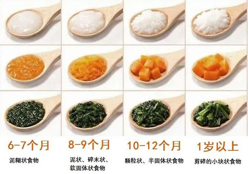 食物性状过渡参考