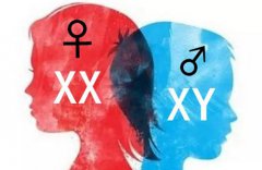 Y染色体检测要求：