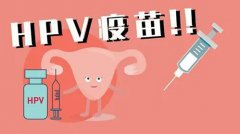 HPV健康知识普及，HPV疫苗对子宫颈癌的保护力是