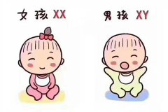 香港验性别准吗？需要多少周