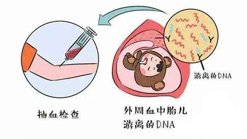 香港验性别