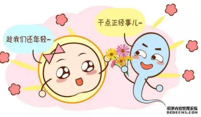男女,备孕男女