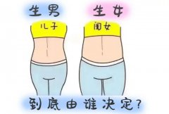 生男生女由男性决定，女性不背锅！