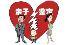 香港亲子鉴定-香港做亲子鉴定机构
