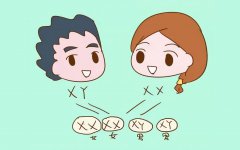 揭穿生男生女三大谎言！